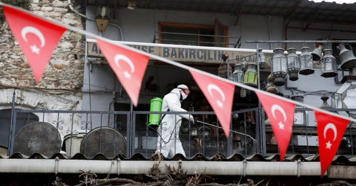 covid turkish economy