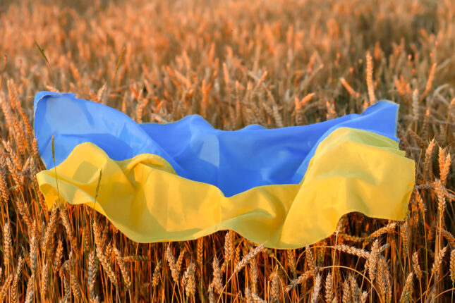 ukrainian grain