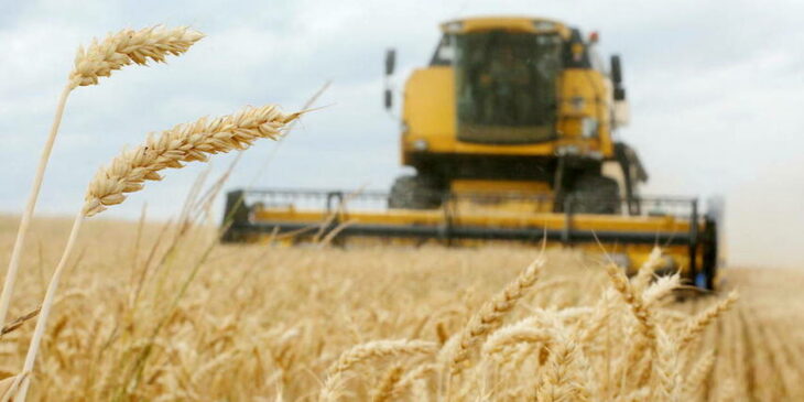 ukrainian cereals